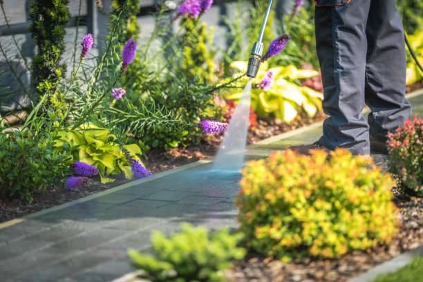 Best Fence Cleaning  in Little Falls, NY