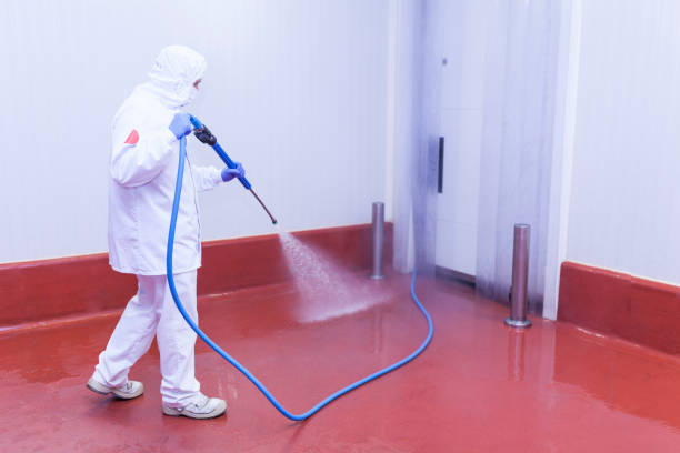 Best Building Exterior Washing  in Little Falls, NY