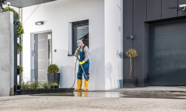 Best Solar Panel Cleaning  in Little Falls, NY